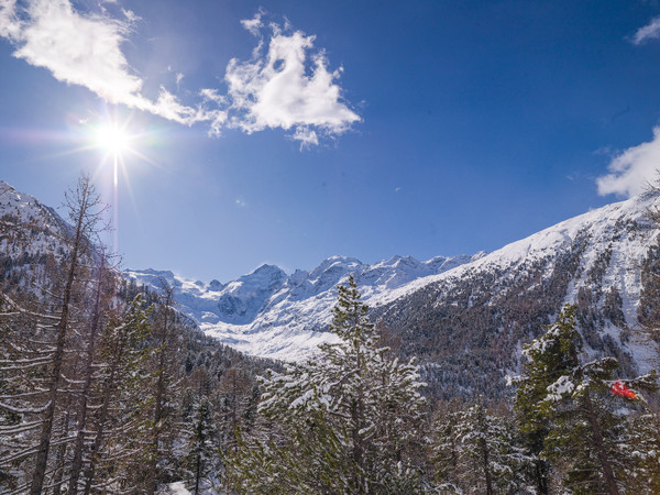 Blick von der Montebellokurve in Richtung Berninagruppe