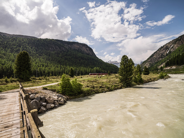 Morteratsch, Pontresina, Oberengadin, Graubünden, Schweiz, Switzerland