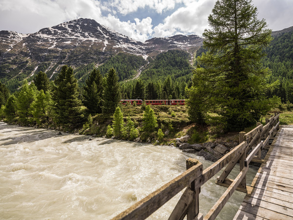 Morteratsch, Pontresina, Oberengadin, Graubünden, Schweiz, Switzerland