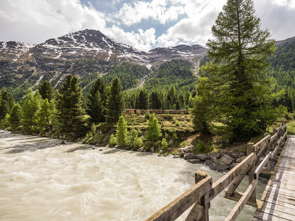 Morteratsch, Pontresina, Oberengadin, Graubünden, Schweiz, Switzerland