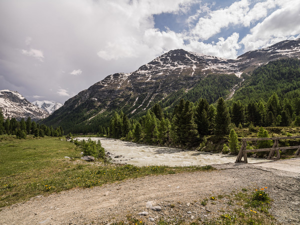 Morteratsch, Pontresina, Oberengadin, Graubünden, Schweiz, Switzerland