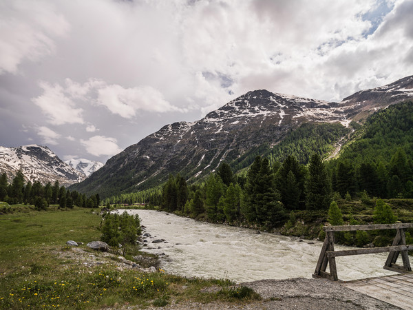 Morteratsch, Pontresina, Oberengadin, Graubünden, Schweiz, Switzerland