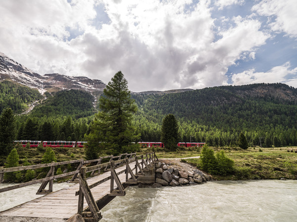 Morteratsch, Pontresina, Oberengadin, Graubünden, Schweiz, Switzerland