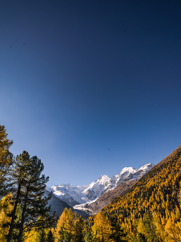 Das Val Morteratsch mit Morteratschgletscher, im Hintergrund das eindrückliche Bergpanorama der Berninagruppe mit Piz Palü, Bellavista, Piz Zupò, Piz 
