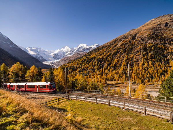 Die Rhätische Bahn in der Montebellokurve oberhalb von Morteratsch, im Hintergrund das eindrückliche Bergpanorama der Berninagruppe mit Piz Palü, Bell