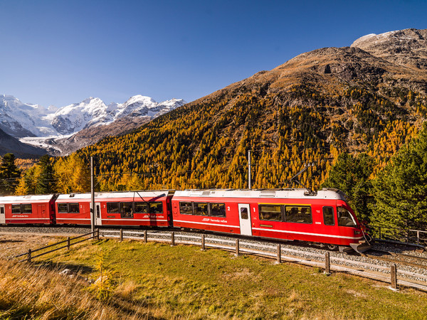 Die Rhätische Bahn in der Montebellokurve oberhalb von Morteratsch, im Hintergrund das eindrückliche Bergpanorama der Berninagruppe mit Piz Palü, Bell