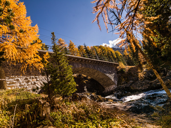 Herbststimmung mit der Rhätische Bahn auf/beim Viadukt über die Ova da Bernina, mit den wunderschönen Wasserfällen der Cascata da Bernina.