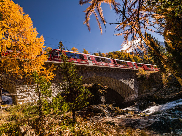 Herbststimmung mit der Rhätische Bahn auf/beim Viadukt über die Ova da Bernina, mit den wunderschönen Wasserfällen der Cascata da Bernina.