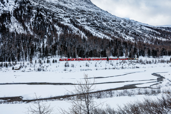 Ein Allegra-Triebzug der rhätischen Bahn bei Morteratsch im Oberengadin.