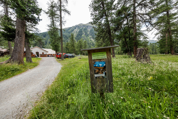 Bei Morteratsch im Oberengadin