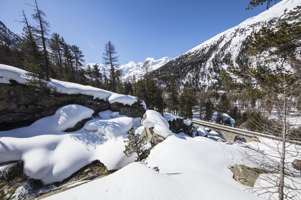 Bei Morteratsch im Oberengadin