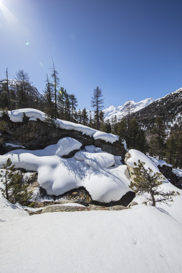 Bei Morteratsch im Oberengadin