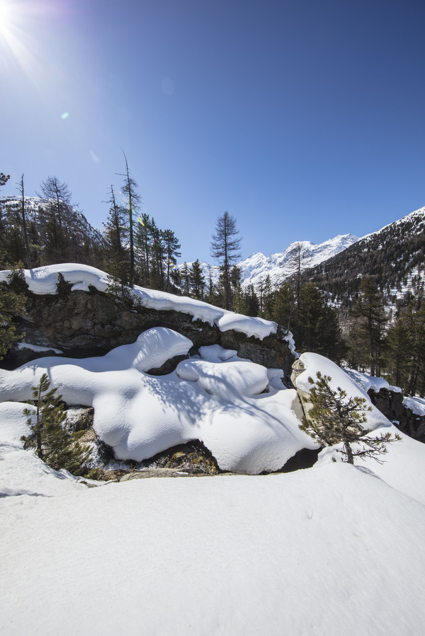 Bei Morteratsch im Oberengadin