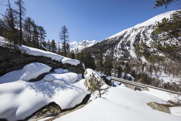 Bei Morteratsch im Oberengadin