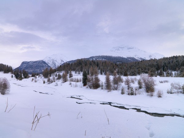 Punt Muragl; Engadin; Graubünden; Schweiz