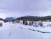 Foto: Punt Muragl; Engadin; Graubünden; Schweiz; Winter; Winterlandschaft