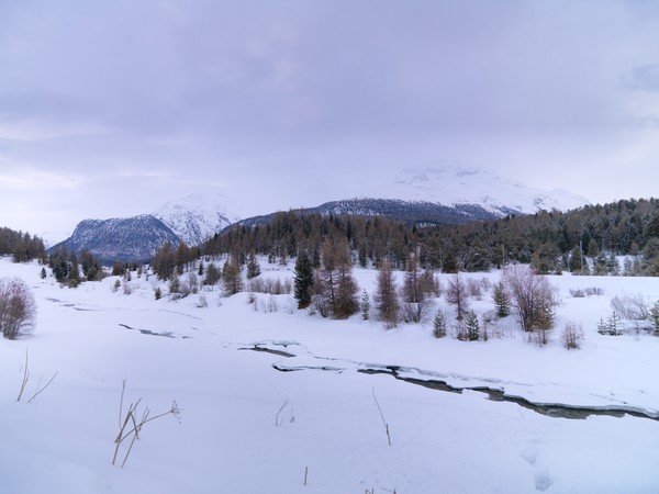 Punt Muragl; Engadin; Graubünden; Schweiz