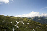 Muttner Alp, Mittelbünden, Graubünden, Schweiz
