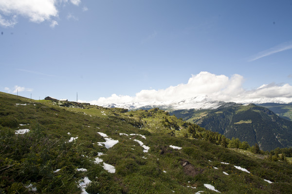 Muttner Alp, im Hintergrund Piz Beverin