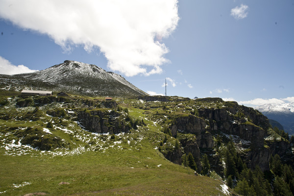 Blick auf Mutter Horn, im Vordergrund Muttner Alp