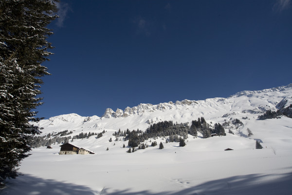 Winterstimmung beim Innerberg oberhalb Parpan