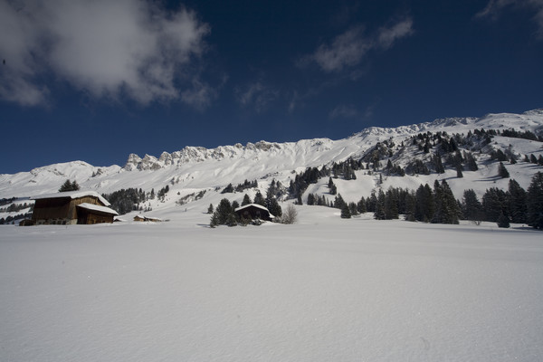 Winterstimmung beim Innerberg oberhalb Parpan