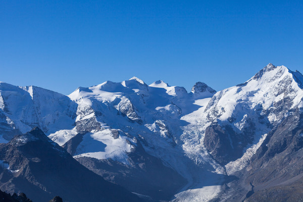 Die Bernina-Gruppe mit Piz Palü, Bernina, Bellavista und Piz Morteratsch, gesehen vom Piz Lanquard