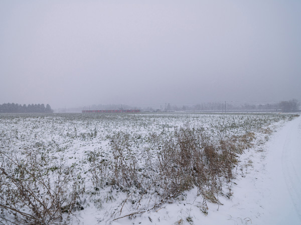 Rhätische Bahn im Schneegestöber zwischen Domat/Ems und Chur