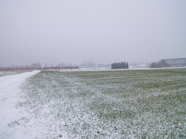 Rhätische Bahn im Schneegestöber zwischen Domat/Ems und Chur