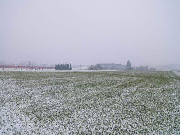 Rhätische Bahn im Schneegestöber zwischen Domat/Ems und Chur