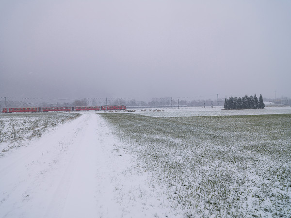 Rhätische Bahn im Schneegestöber zwischen Domat/Ems und Chur