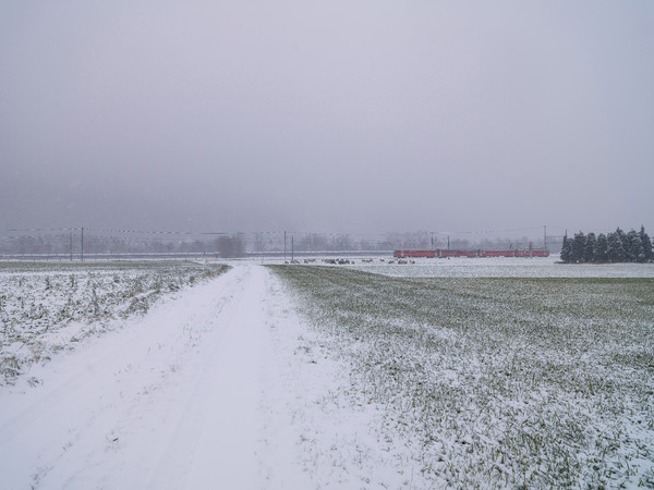 Rhätische Bahn im Schneegestöber zwischen Domat/Ems und Chur