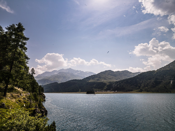 Blick von Plaun da Lej über den Silsersee in Richtung Val Fedoz und Piz Corvatsch im Oberengadin