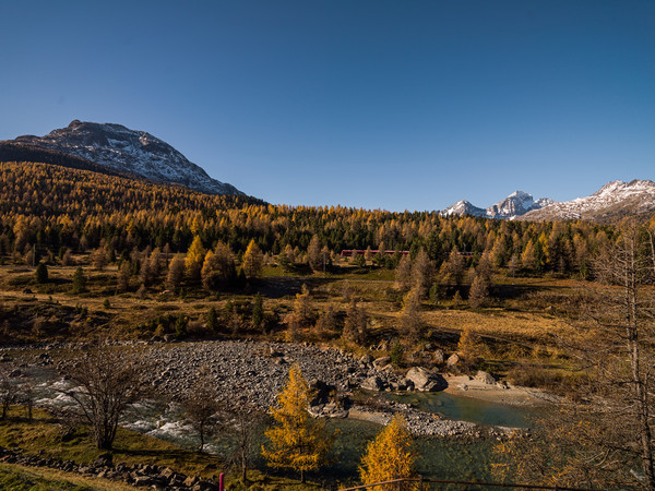 Pontresina, Oberengadin, Engadin, Graubünden, Schweiz, Switzerland