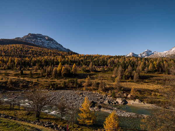 Pontresina, Oberengadin, Engadin, Graubünden, Schweiz, Switzerland