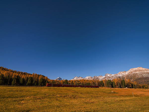 Pontresina, Oberengadin, Engadin, Graubünden, Schweiz, Switzerland