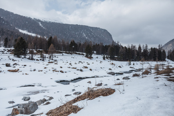 Pontresina, Oberengadin, Engadin, Graubünden, Schweiz, Switzerland