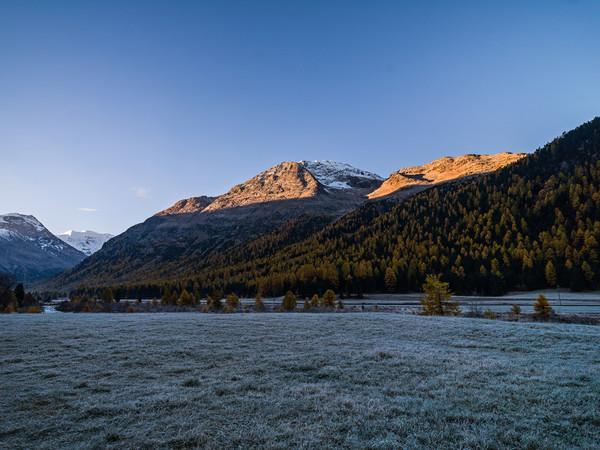 Unterwegs bei herbstlicher Morgenstimmung mit Bodenfrost im Val Bernina zwischen Pontresina und Morteratsch.