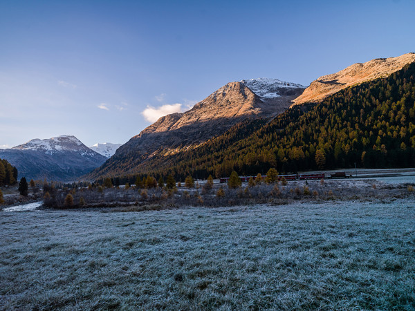 Ein Allegra-Triebzug der Rhätischen Bahn unterwegs bei herbstlicher Morgenstimmung mit Bodenfrost im Val Bernina zwischen Pontresina und Morteratsch.