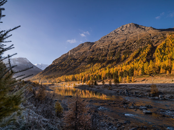 Unterwegs bei herbstlicher Morgenstimmung mit Bodenfrost im Val Bernina zwischen Pontresina und Morteratsch. Im Hintergrund das Val Morteratsch und de