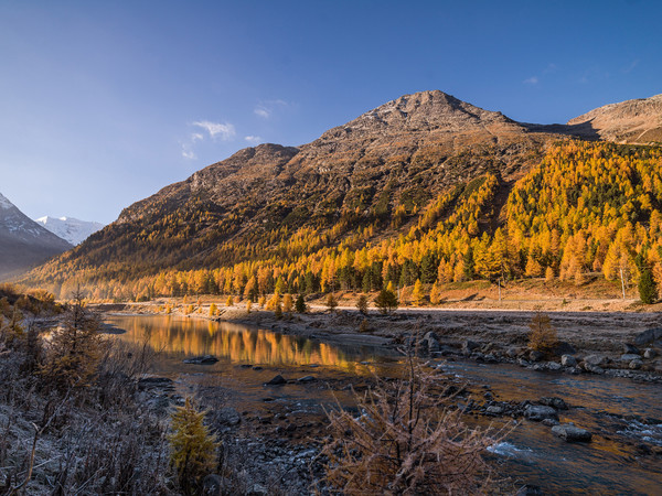 Unterwegs bei herbstlicher Morgenstimmung mit Bodenfrost im Val Bernina zwischen Pontresina und Morteratsch. Im Hintergrund das Val Morteratsch und de