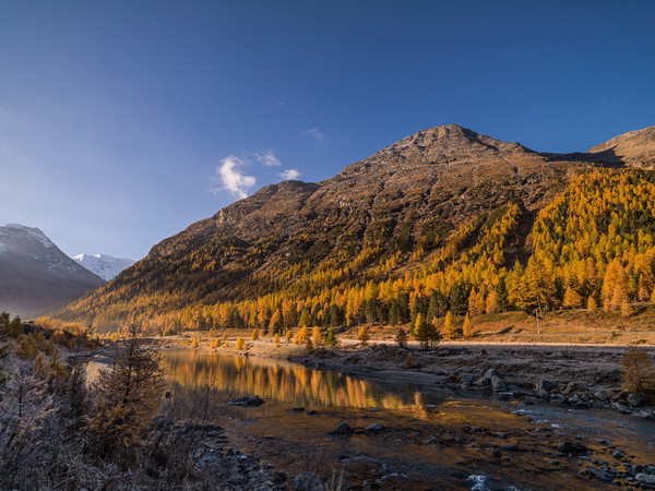 Unterwegs bei herbstlicher Morgenstimmung mit Bodenfrost im Val Bernina zwischen Pontresina und Morteratsch. Im Hintergrund das Val Morteratsch und de