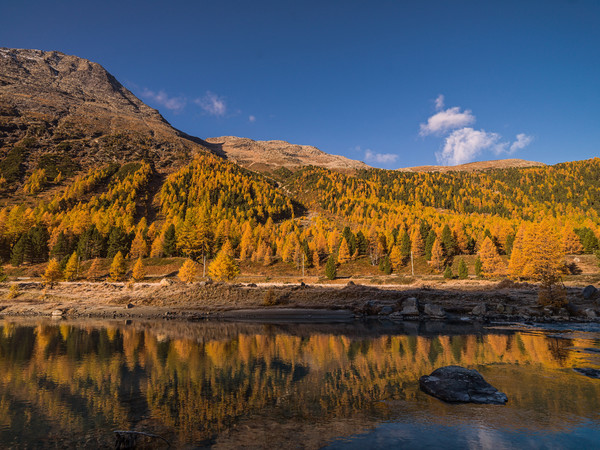 Unterwegs bei herbstlicher Morgenstimmung mit Bodenfrost im Val Bernina zwischen Pontresina und Morteratsch.