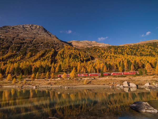 Fahrt mit der Rhätischen Bahn bei herbstlicher Morgenstimmung entlang der Ova da Bernina im Val Bernina zwischen Pontresina und Morteratsch.