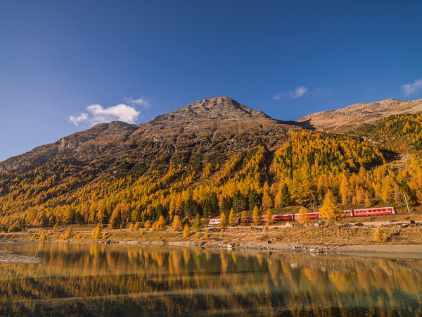 Fahrt mit der Rhätischen Bahn bei herbstlicher Morgenstimmung entlang der Ova da Bernina im Val Bernina zwischen Pontresina und Morteratsch.