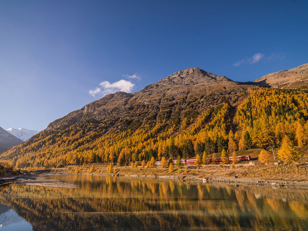 Fahrt mit der Rhätischen Bahn bei herbstlicher Morgenstimmung entlang der Ova da Bernina im Val Bernina zwischen Pontresina und Morteratsch.