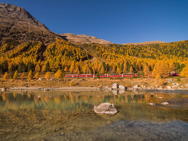 Fahrt mit dem Bernina Express der Rhätischen Bahn bei herbstlicher Morgenstimmung entlang der Ova da Bernina im Val Bernina zwischen Pontresina und Mo