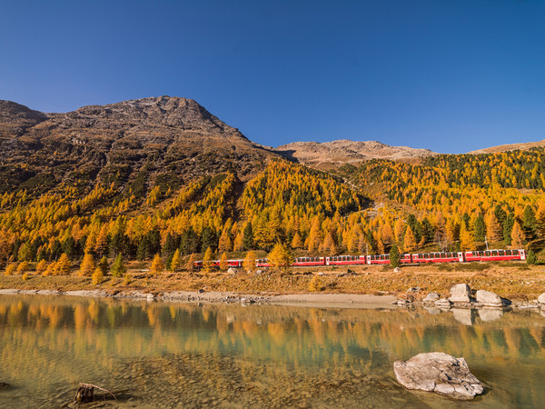 Fahrt mit dem Bernina Express der Rhätischen Bahn bei herbstlicher Morgenstimmung entlang der Ova da Bernina im Val Bernina zwischen Pontresina und Mo