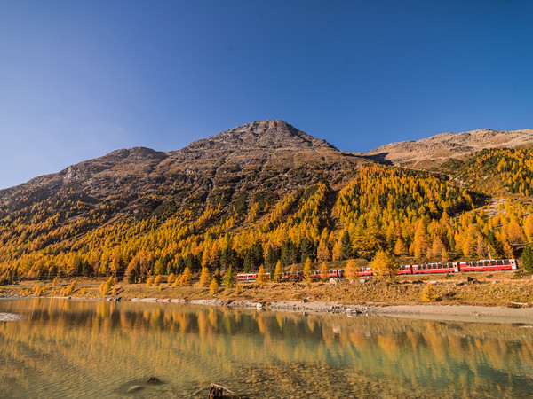 Fahrt mit dem Bernina Express der Rhätischen Bahn bei herbstlicher Morgenstimmung entlang der Ova da Bernina im Val Bernina zwischen Pontresina und Mo