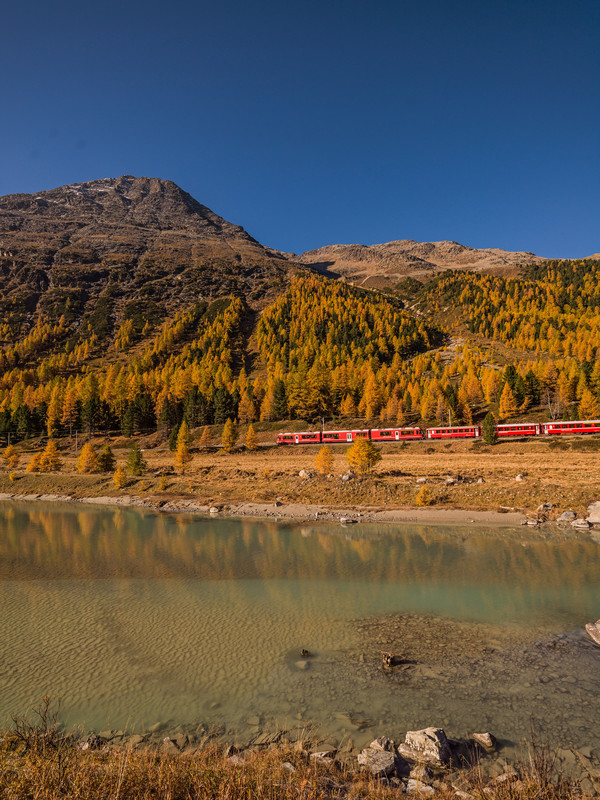 Fahrt mit der Rhätischen Bahn bei herbstlicher Morgenstimmung entlang der Ova da Bernina im Val Bernina zwischen Pontresina und Morteratsch.